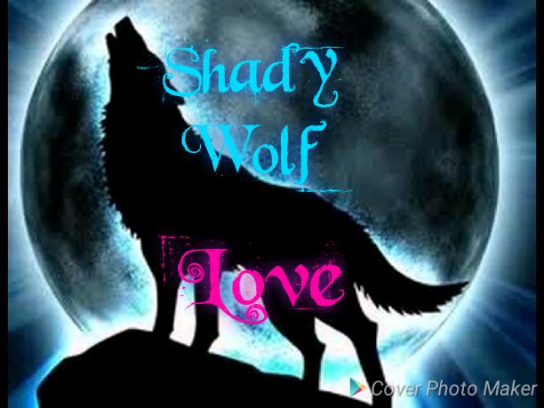 Shady Wolf  Love