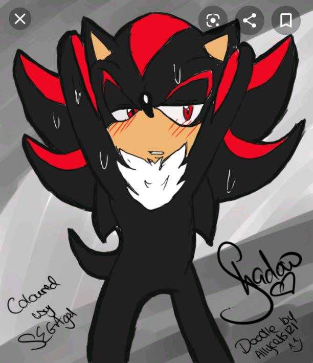 Shadow The  Hedgehog