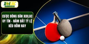 Cược Bóng Bàn Xoilac Uy Tín - Nắm Bắt Tỷ Lệ Kèo Hôm Nay
