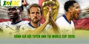 Đánh Giá Đội Tuyển Anh Tại World Cup 2026 - Khát Vọng Tam Sư