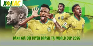 Đánh Giá Đội Tuyển Brasil Tại World Cup 2026 - Vũ Điệu Hexa