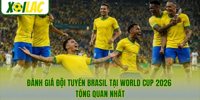 Đánh giá đội tuyển Brasil tại World Cup 2026 tổng quan nhất