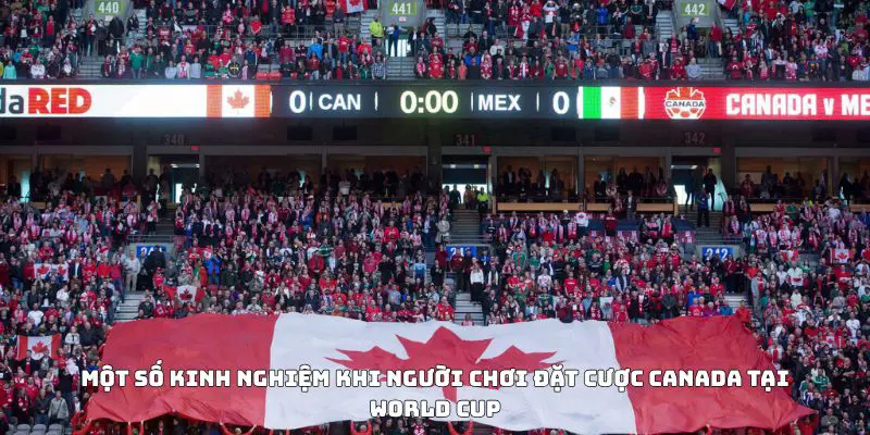 Một số kinh nghiệm khi người chơi đặt cược Canada tại World Cup
