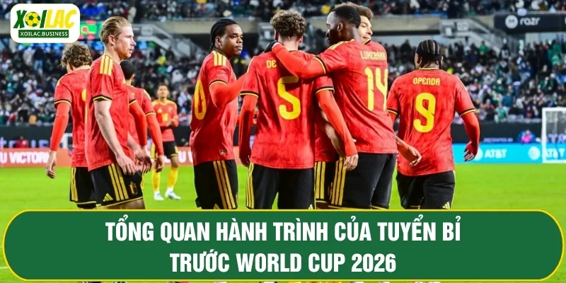 Tổng quan hành trình của tuyển Bỉ trước World Cup 2026