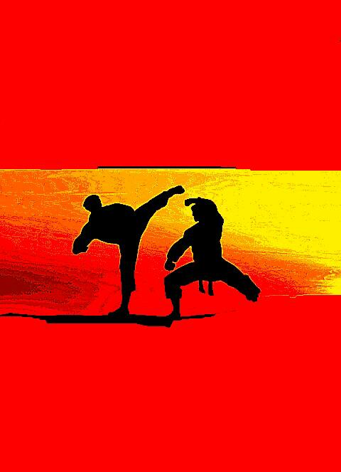  I love karate.