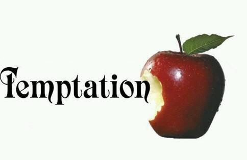 THE CHRISTIAN'S TEMPTATIONS