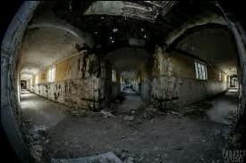 Asylum