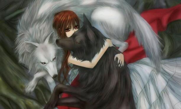 Wolf along demon king vol.1