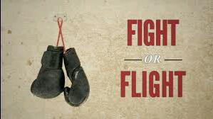 Fight or Flight