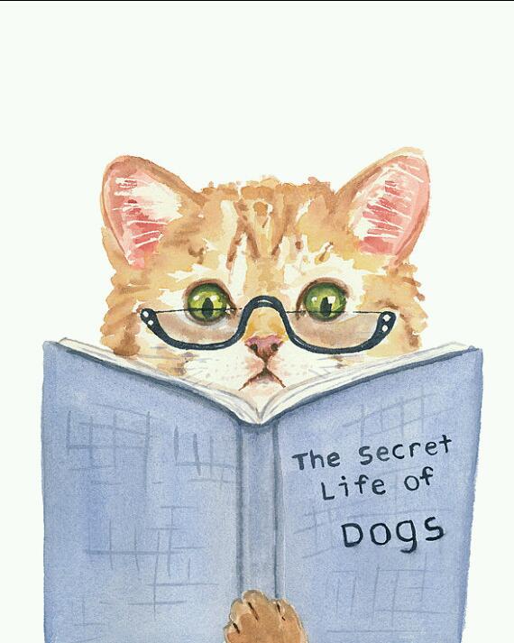 The Secret Life Of A Dog