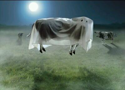 The ghost cow