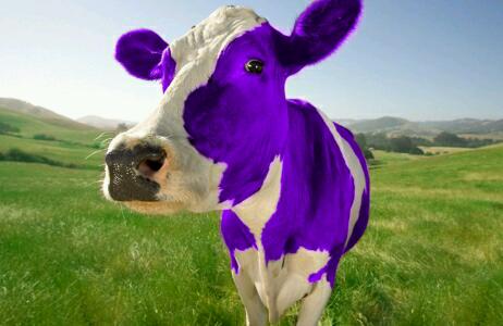 Charlie The Purple Cow