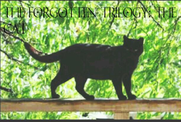 The Forgotten Trilogy: The Cat-Book 1