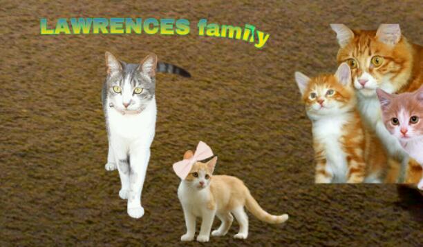 Lawrence family