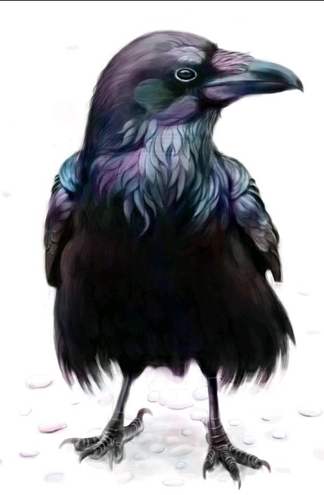The Purple Raven Pt. 3