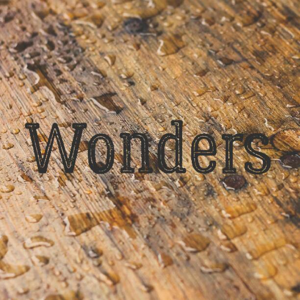 💭Wonders💭