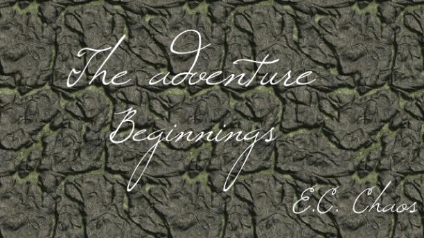 The adventure: beginnings 