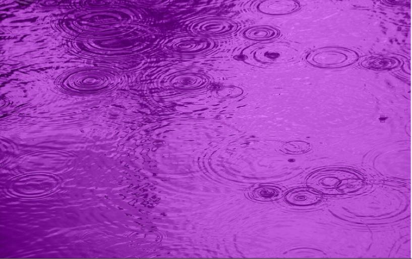 Purple Rain 