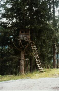 THE HAUNTED TREE HOUSE #CHAPTER 2
