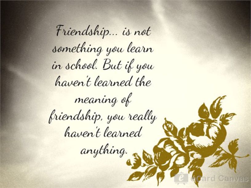 The Meaning Of Friendship