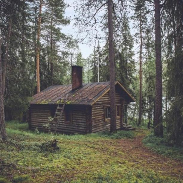 CABIN IN THE WOODS