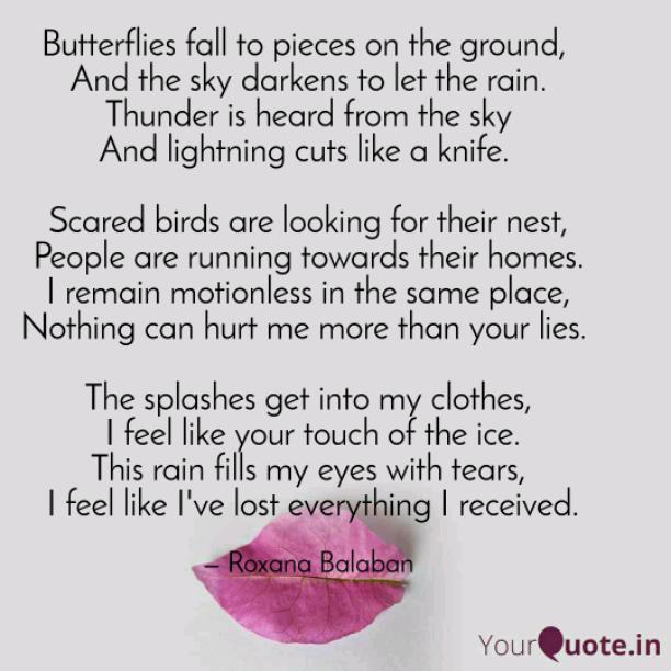 Butterflies