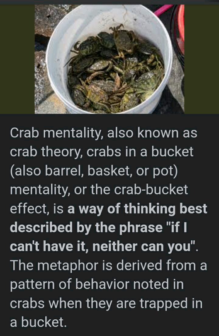 Hermit Crab Mentality🥀