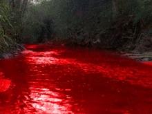 The bloodly river