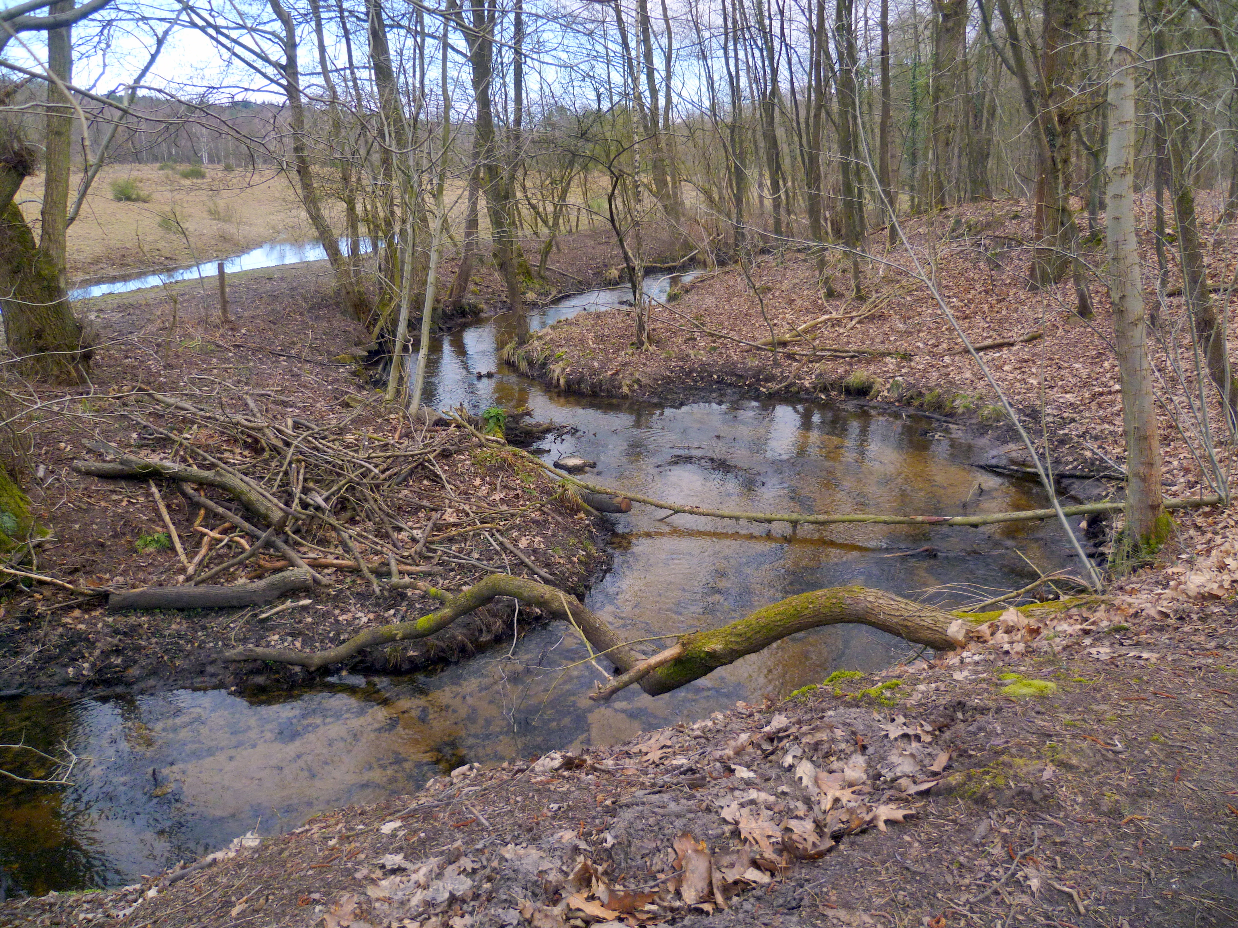 #582 WINDING BROOK