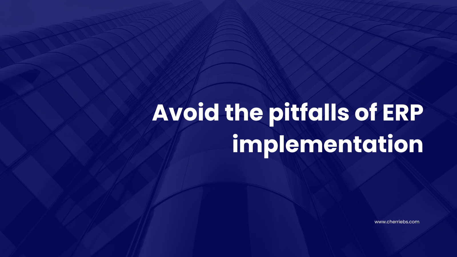Avoid the pitfalls of ERP implementation