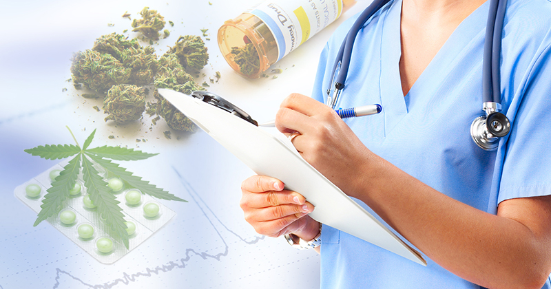 Top Rated Medical Marijuana Clinic In Brandon