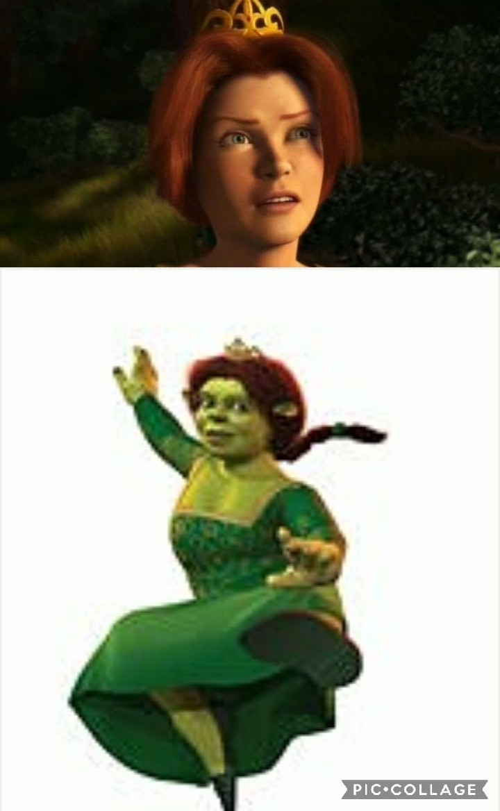 What if about Shrek