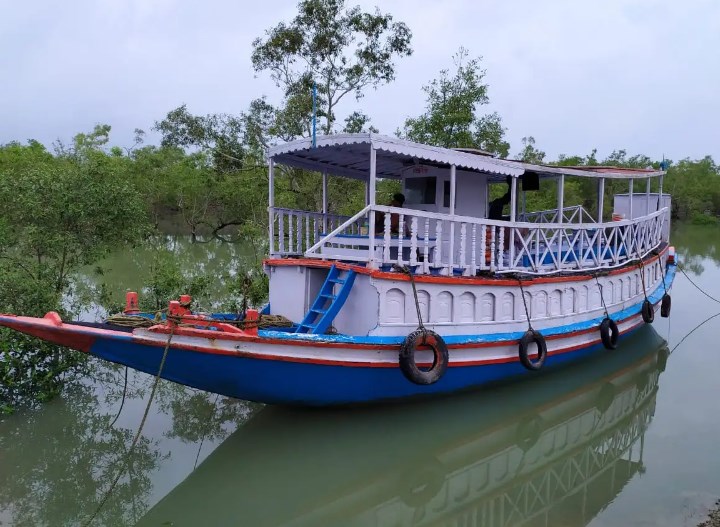 Exploring the Wonders of the Sundarbans: A Guide to the Best Tours