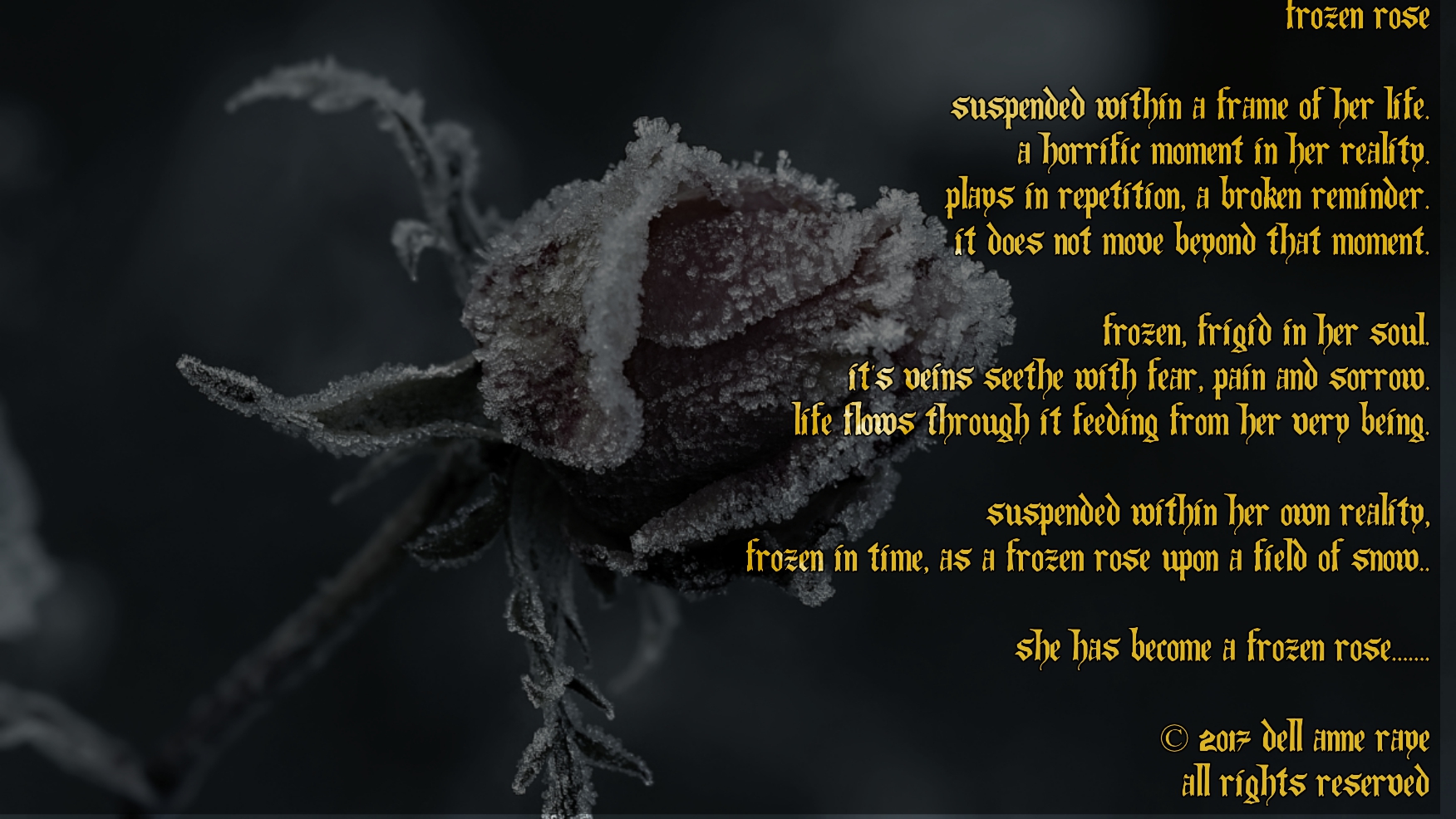 The Frozen Rose